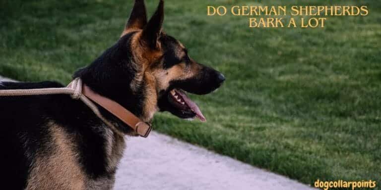 Do German Shepherds Bark A Lot