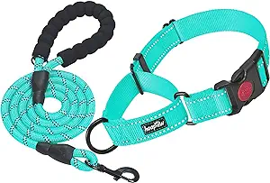 best martingale collar for large dogs