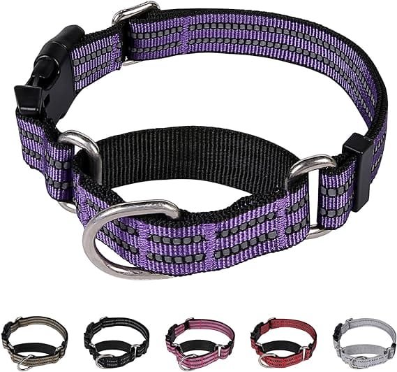 best martingale collar for large dogs