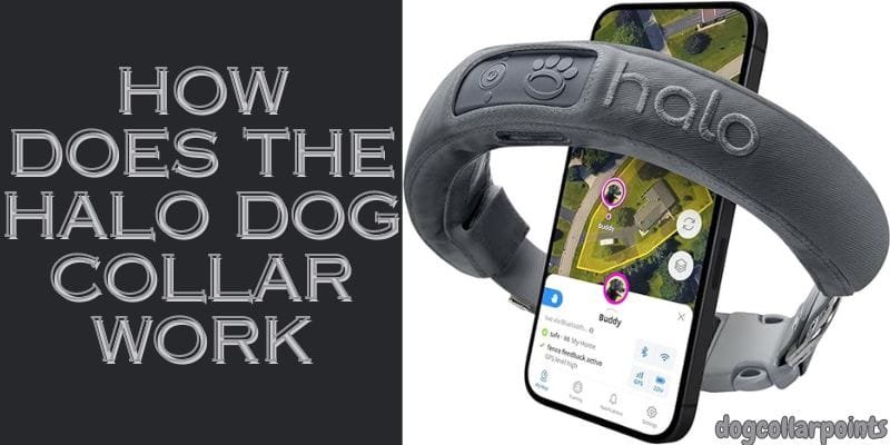 how does the halo dog collar work